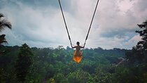 Bali Swing Activity and Kintamani Volcano Trip Packages