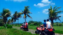 Bali Quad Bike and Kintamani Waterfall Tour