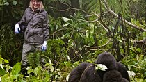 14 Days Uganda Rwanda Primate Tour