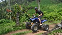 Bali Quad Bike and Besakih Temple Tour : Best Quad Bike Trip
