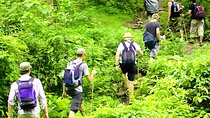 Bali Jungle Trekking with Lunch and Return Hotel Transfer