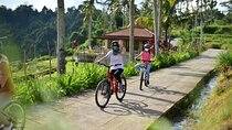 Bakas Village Full-Day Private Cycling Adventure with Lunch