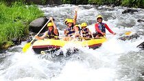 Telaga Waja Rafting and Bali Swing Packages