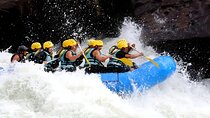 Ayung White Water Rafting and Ubud Art Village Tour