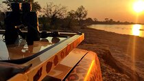 Discover Africa’s Spirit on a 4x4 Zambezi Safari Game Drive