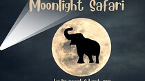 Stargazing and Moonlight Experience