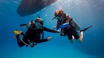 Scuba Diving Beginner Course 