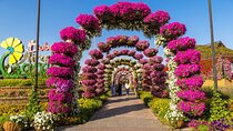 Dubai Miracle Garden and Global Village Ticket Transfer option
