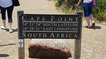 Private Sightseeing Tour to Table Mountain Penguins Cape Point
