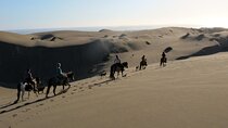 Private Valparaiso, Winery ,Dunes Horse Ridding & BBQ - Santiago