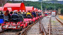 Special Private Tour Nami Island, Rail Bike, Petite France