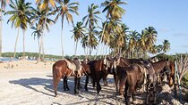 Horseback Riding Adventure in Punta Cana