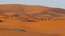 5-Day Morocco Desert Group Tour from Fes to Marrakech