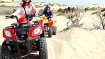 Agadir Dune Quad Bike and Sunset Camel ride Adventure