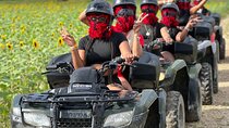 Miami ATV Premium Ride Day/Night FREE passenger