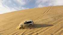 Doha-Private Half Day Safari Camel Ride and Sandboard included