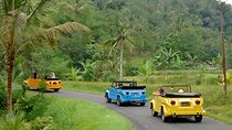 VW Safari Bali Tour - A unique way to explore Ubud culture