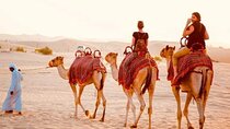Evening Desert Safari with BBQ Dinner & Camel Riding
