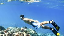 Blue Lagoon Snorkeling - Bali Best Snorkeling Site