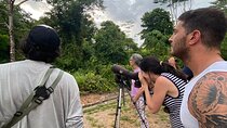 3-Hour Private Birdwatching Experience in Uvita / Ojochal