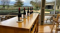 Full Day Barossa Valley Wineries Private Tour Min 4 to 11 person