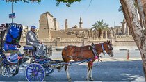 Explore Luxor with a Private 3-Hour Horse Carriage City Tour