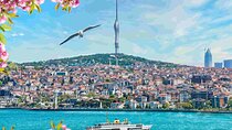 Istanbul Camlica Tower: Private Entry, Transfer & Dine Choices