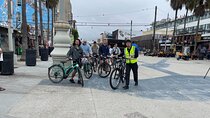 Santa Monica and Venice Beach Electric Bike Tour