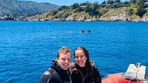 Diving excursion in Quintay