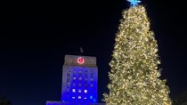 1 Hour Private Christmas Lights Tour in Houston 