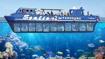Makadi Half Day Tour at Panorama Semi Submarine with Snorkeling