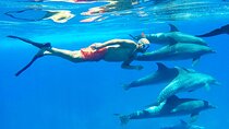 Private Speedboat Snorkeling Sea Trip with Transfer - Hurghada