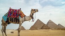 Private Tour To Giza Pyramids,Sphinx,panorama & Lunch 