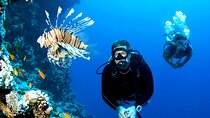 Scuba Diving Experience with Lunch & Transfer from Hurghada