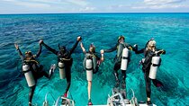 Hurghada: Beginners Scuba Diving Boat Tour with Lunch & Transfer