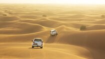 Half-Day Dubai Dunes Desert Safari Experience