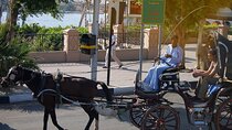 Private Horse Carriage Tour in Aswan City
