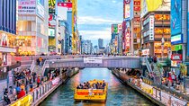 Full Day Private Shore Tour in Osaka from Osaka Cruise Port