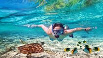 Guided Visit to Puerto Morelos with Snorkeling Included