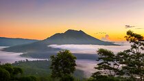 Private Full-Day Tour: Waterfall, Temple, Volcano, Rice Terrace & Monkey Forest