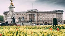 Fun Interactive Phone Treasure Hunt Buckingham Palace Parks