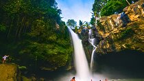 Bali Half-Day Car Charter: Ubud Waterfall Tour