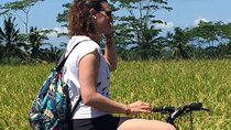 HALO BIKE Downhill Bali Countryside Cycling Tour