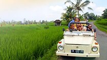 Bali Volkswagen Classic Car: Ubud Full Day Tour