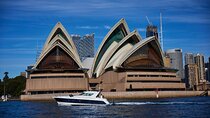 Private Half Day Sydney Harbour Cruise for up to 12 guests