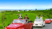 Jatiluwih VW Safari Bali Tour - Volkswagen Classic Car Trip