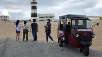 Port Elizabeth Adventure: Tuk-Tuk, Penguins, & Cape Recife