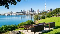 Full Day Private Shore Tour in Auckland from Auckland Cruise Port