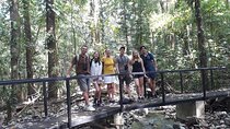 Private Nature Tour in Cabo Blanco Park Costa Rica