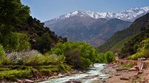 Discovering Ourika Valley and Atlas Mountains with a Local Guide